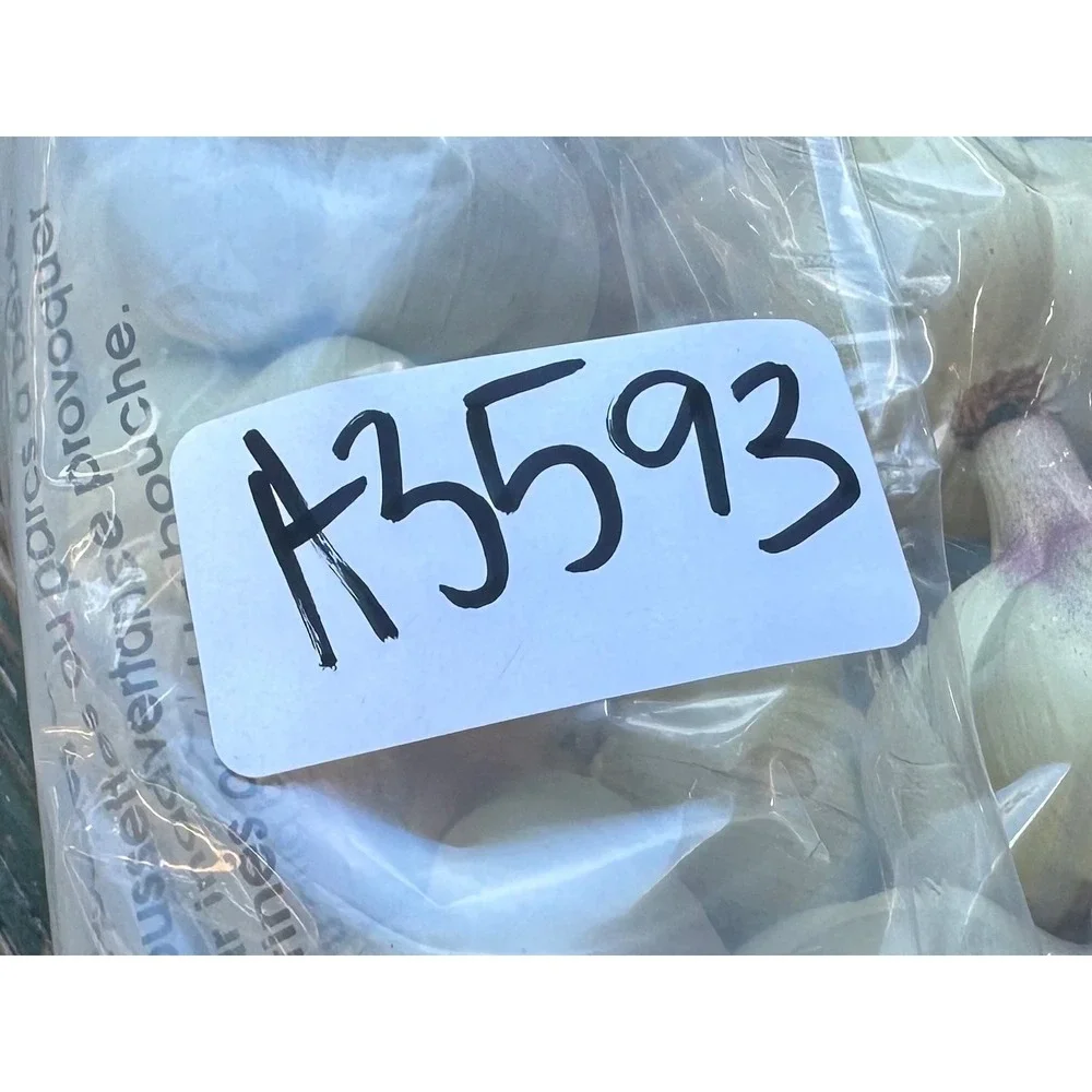 Artificial Garlic Bulb Strand Garland 30